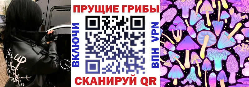 МЕГА онион  Калач  Псилоцибиновые грибы Psilocybine cubensis  где продают наркотики 